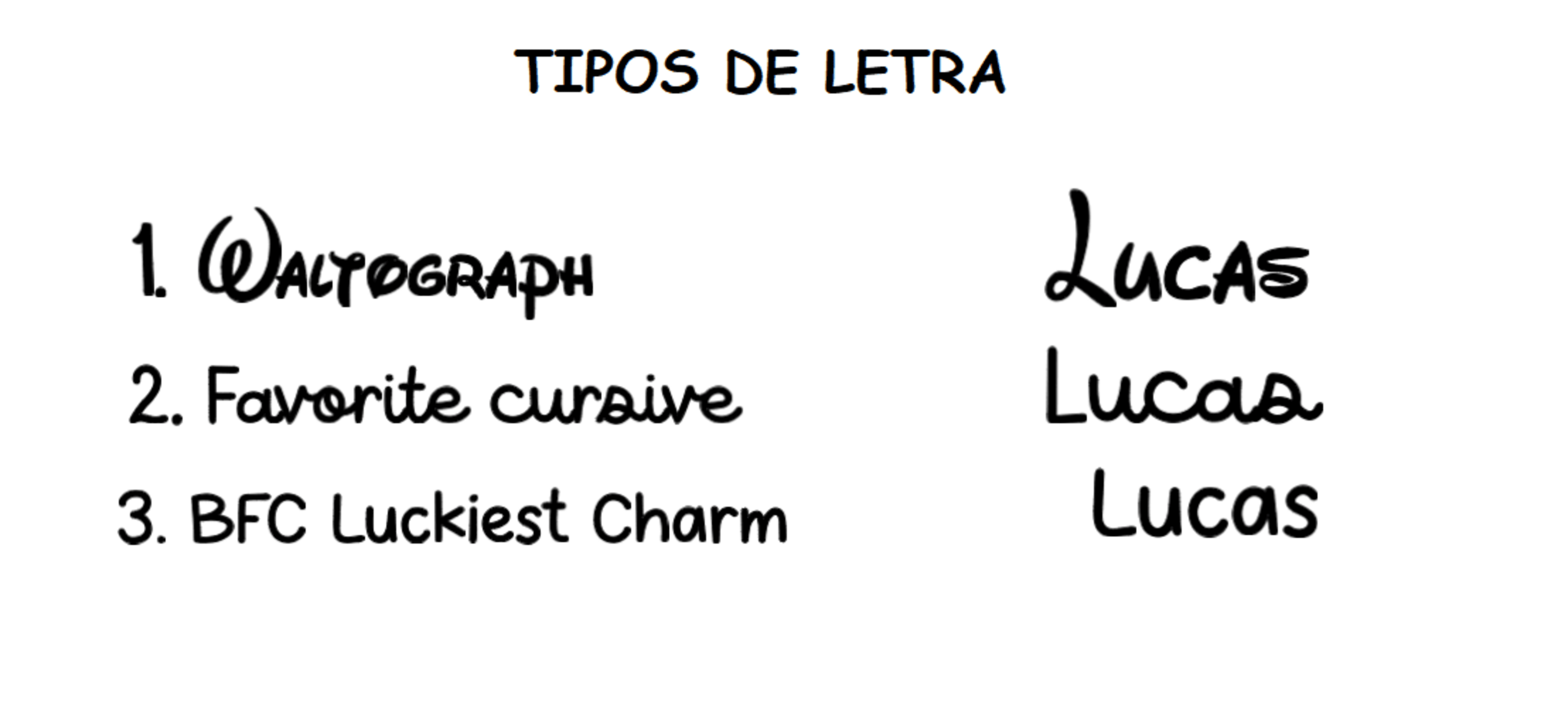 PORTA DOCUMENTOS FLORAL - 3